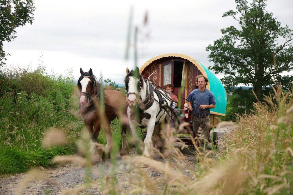 An exceptional Lake District glamping experience with real on-the-road journeys in a traditional gypsy caravan.