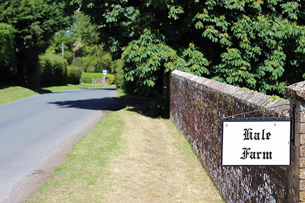 A family-run, working farm in East Sussex offering spacious, traditional camping with no set pitches.
