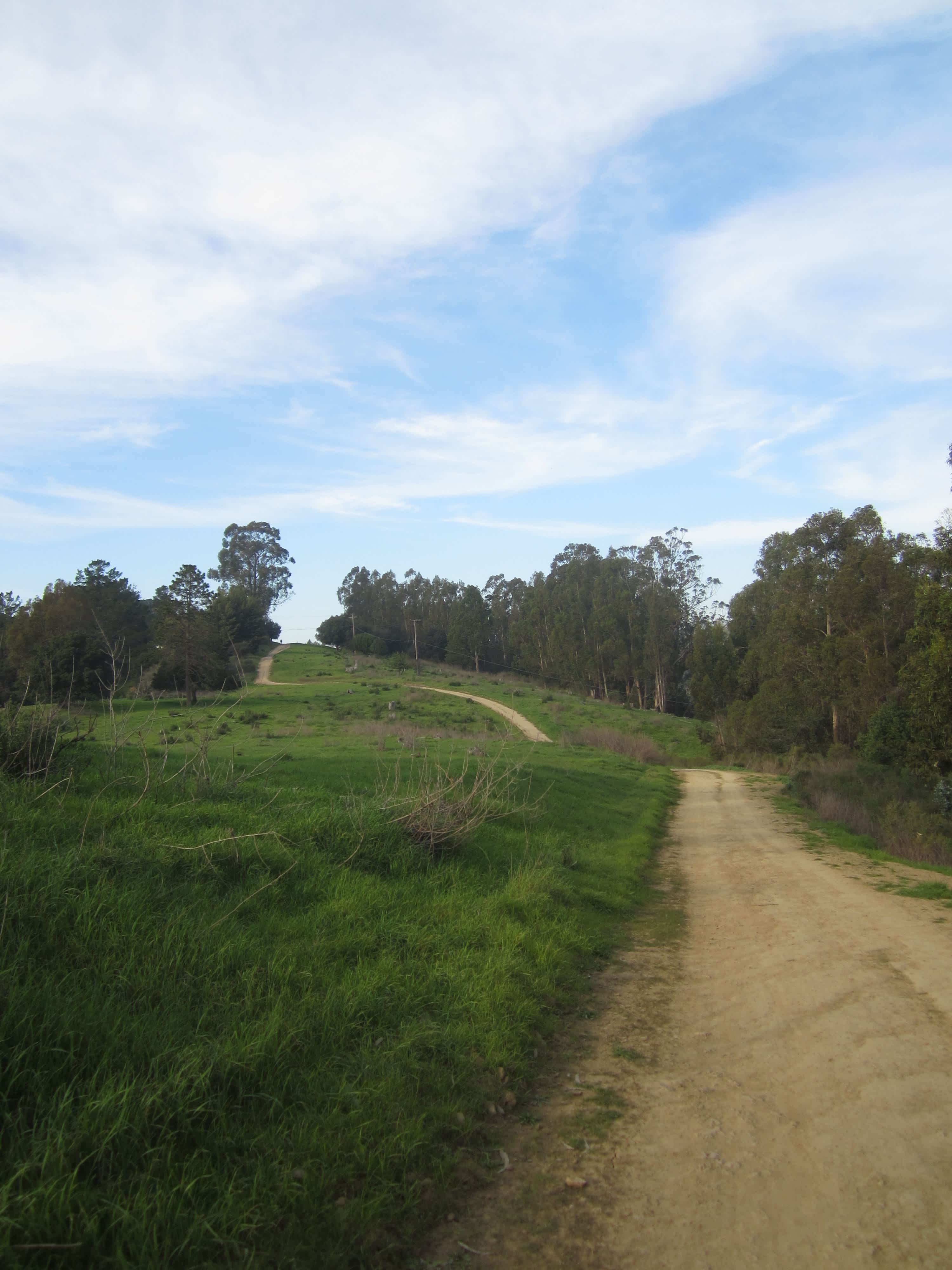 Anthony Chabot Regional Park