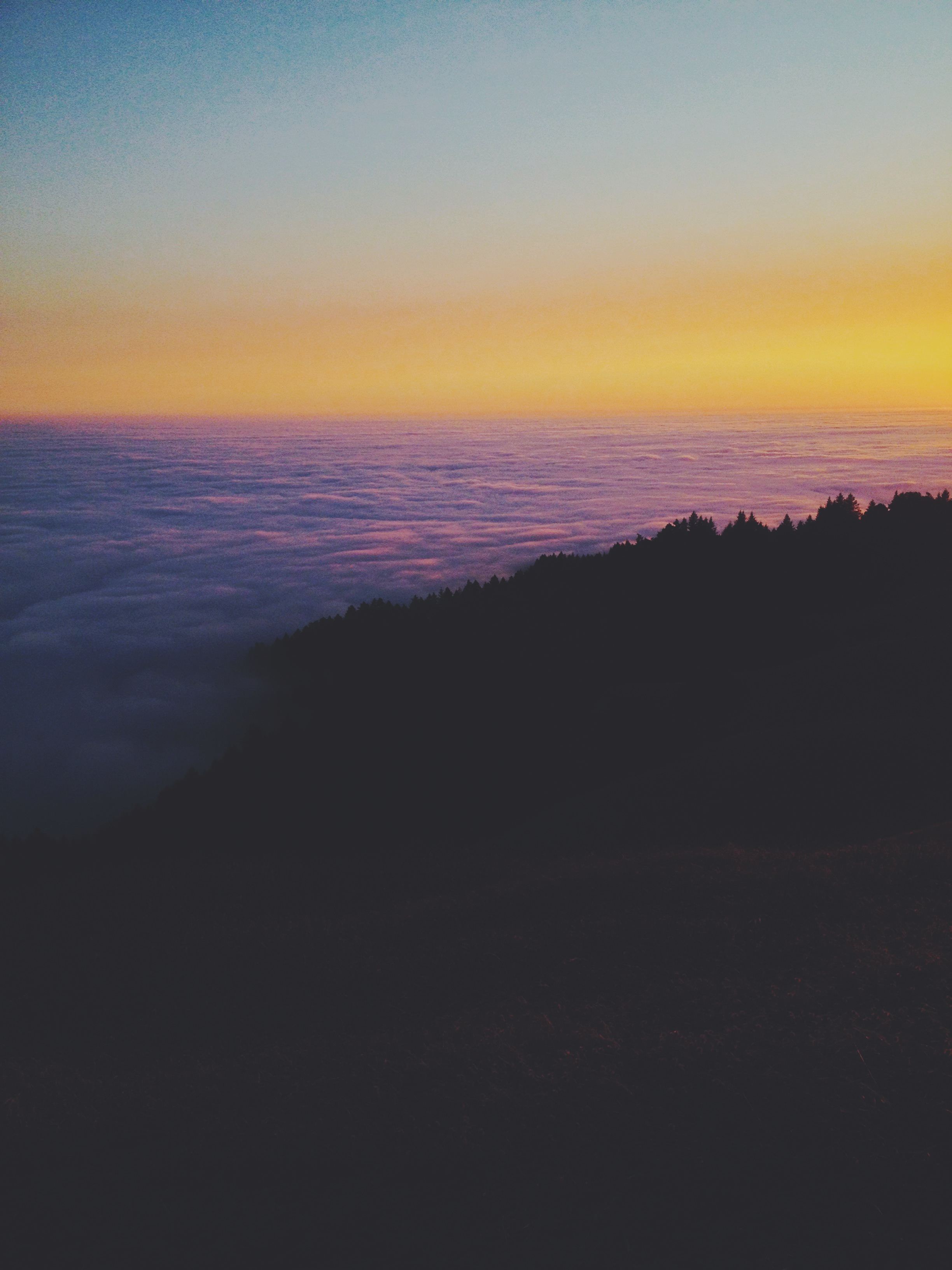 Mount Tamalpais State Park