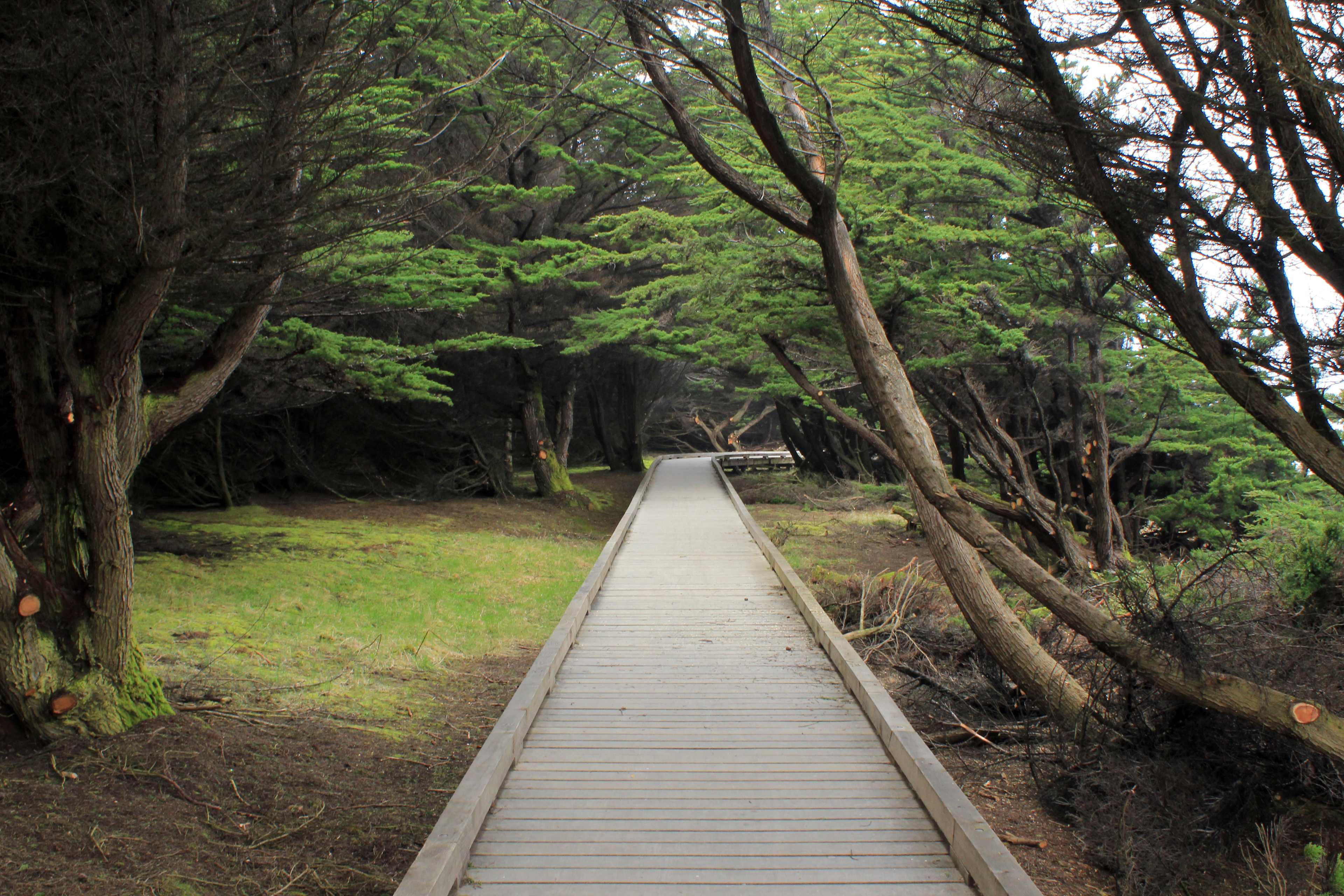 MacKerricher State Park