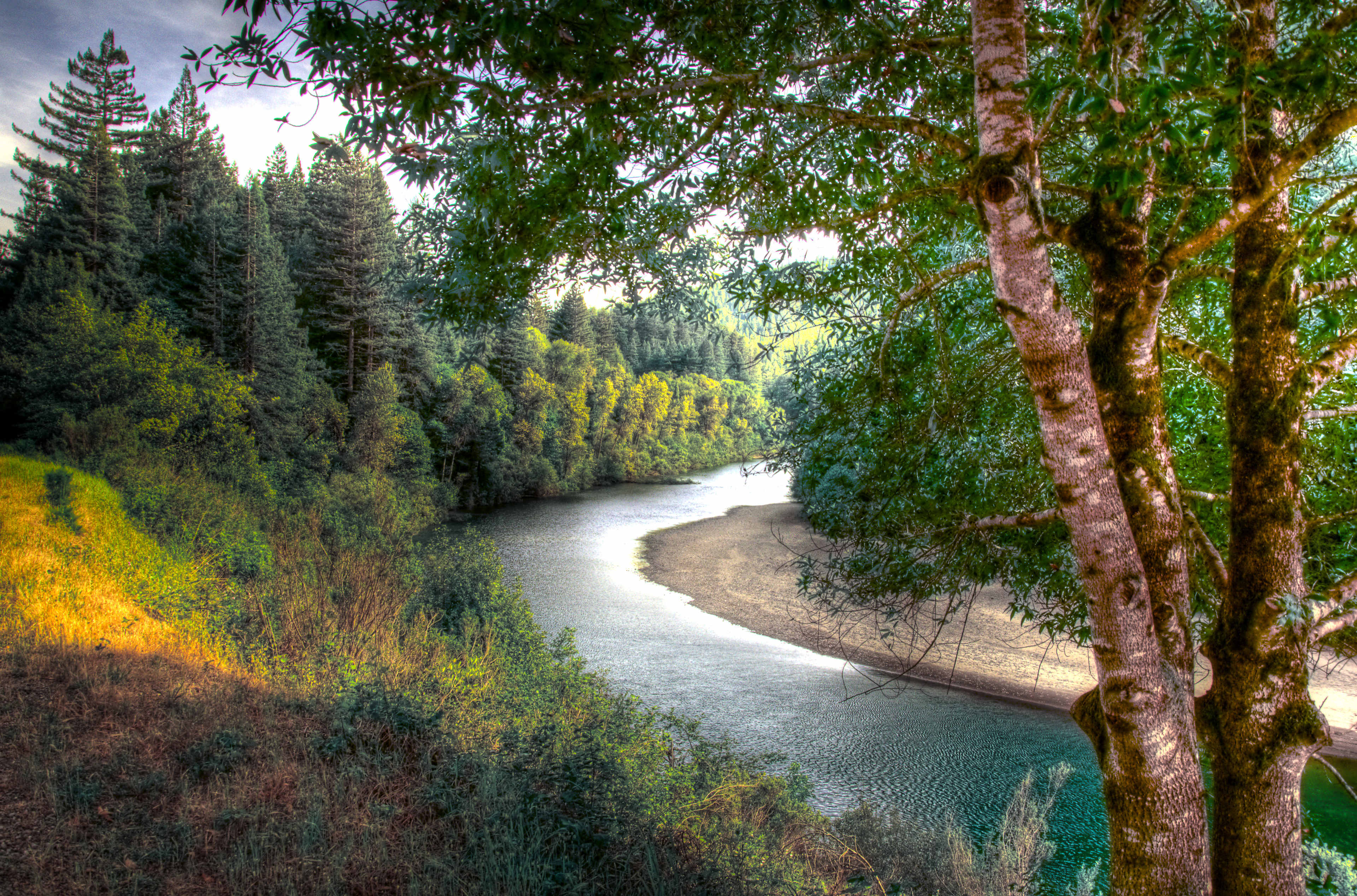 Humboldt Redwoods State Park