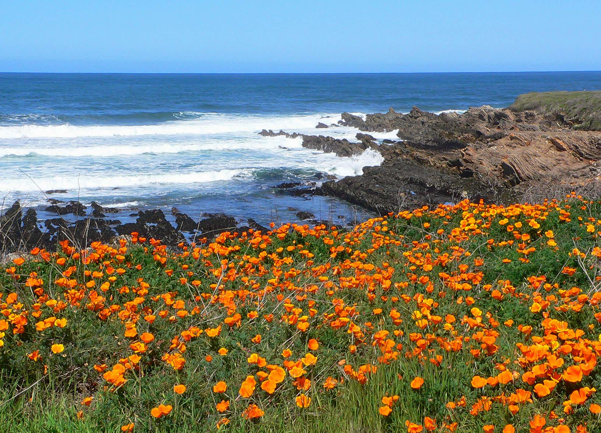 Montaña de Oro State Park