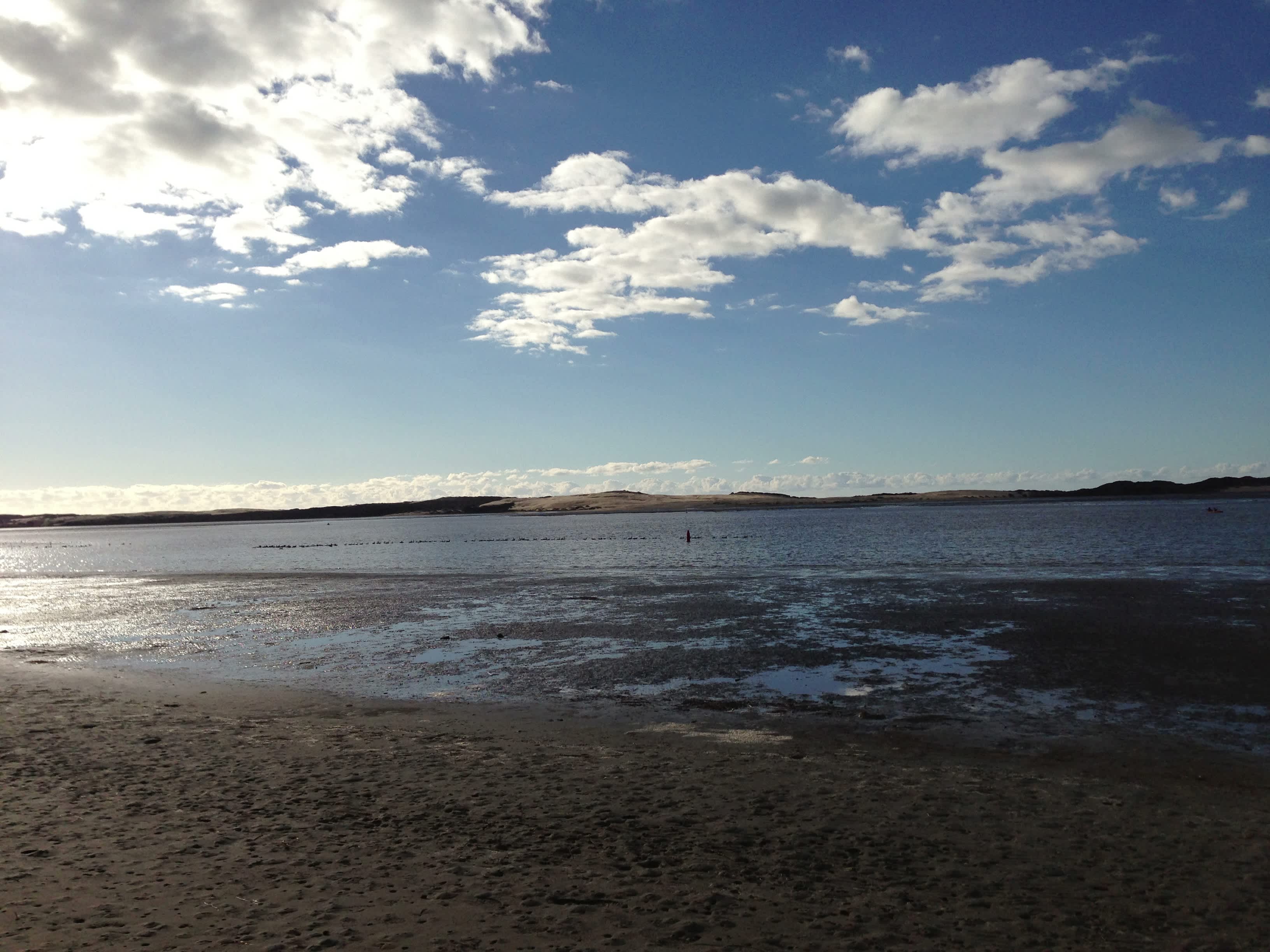 Morro Bay State Park