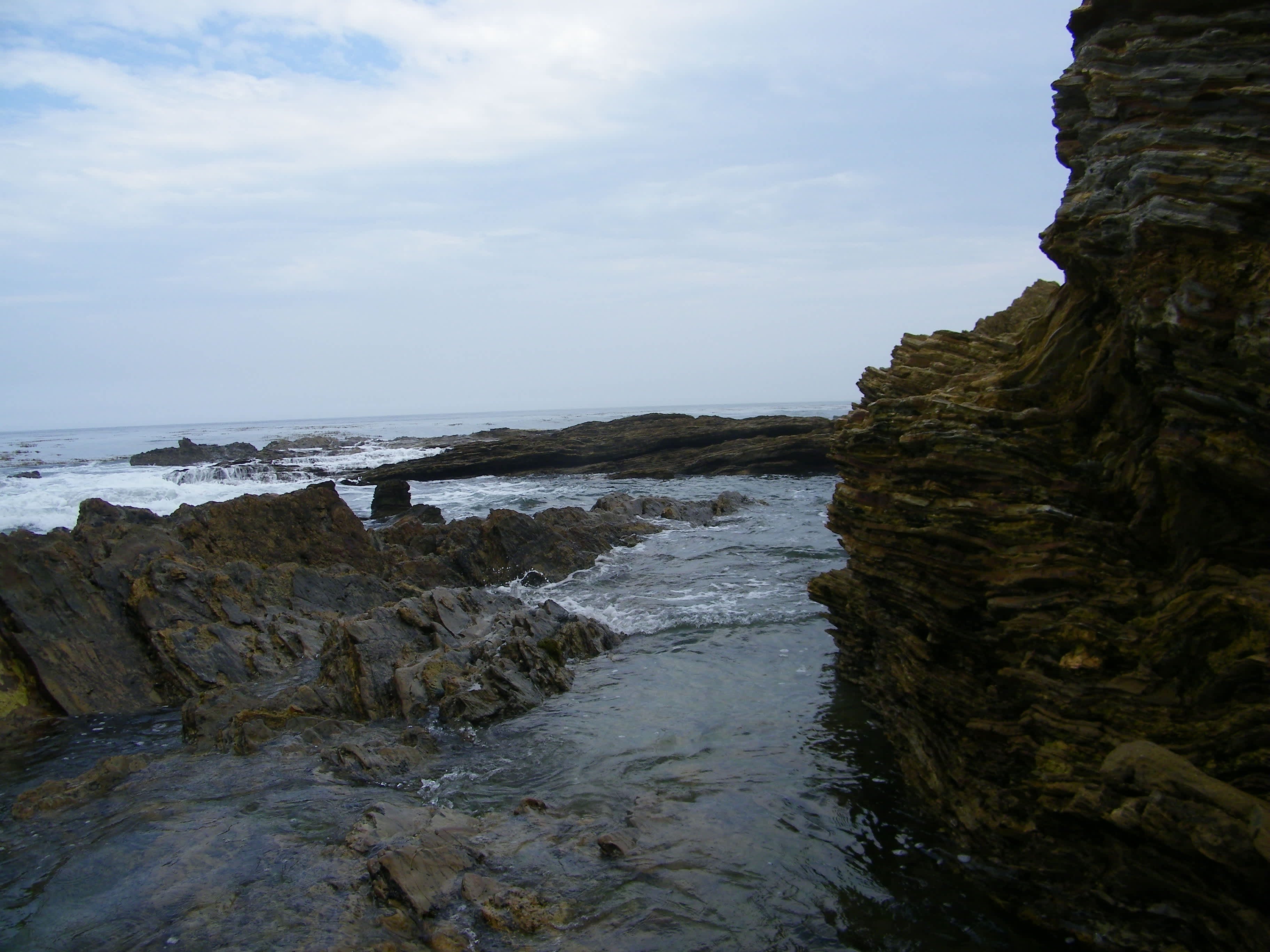 Crystal Cove State Park