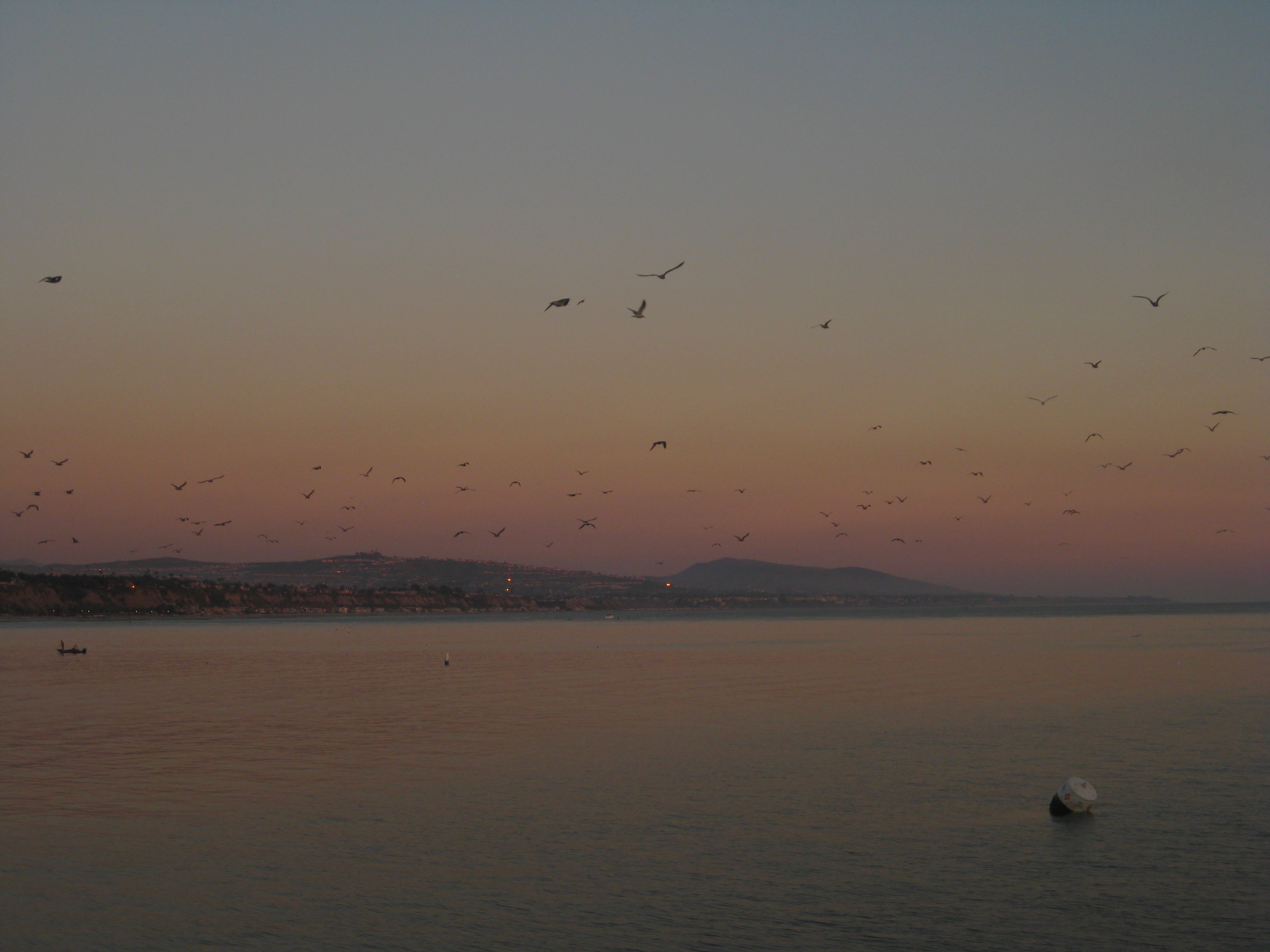 Doheny State Beach