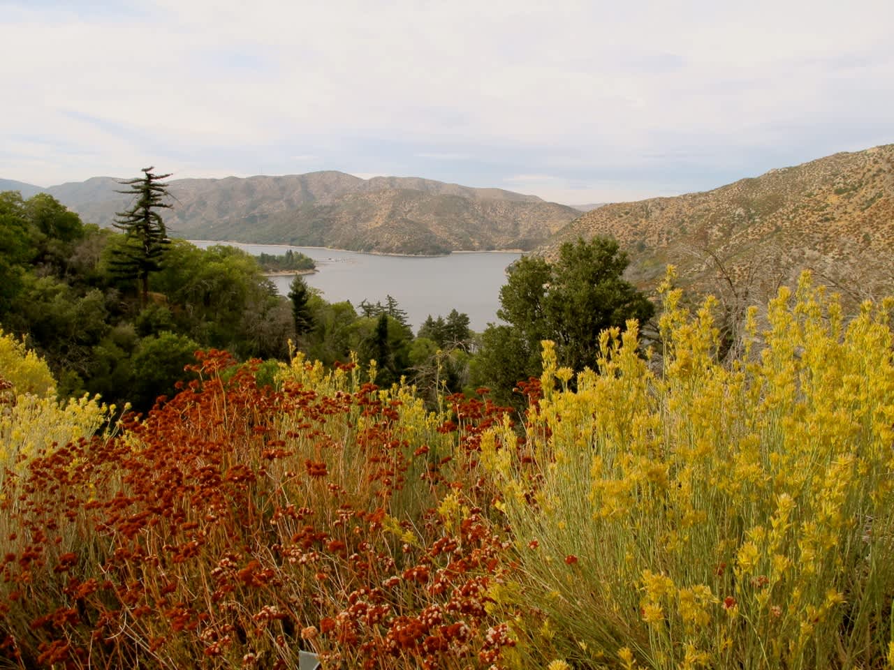 Silverwood Lake State Recreation Area