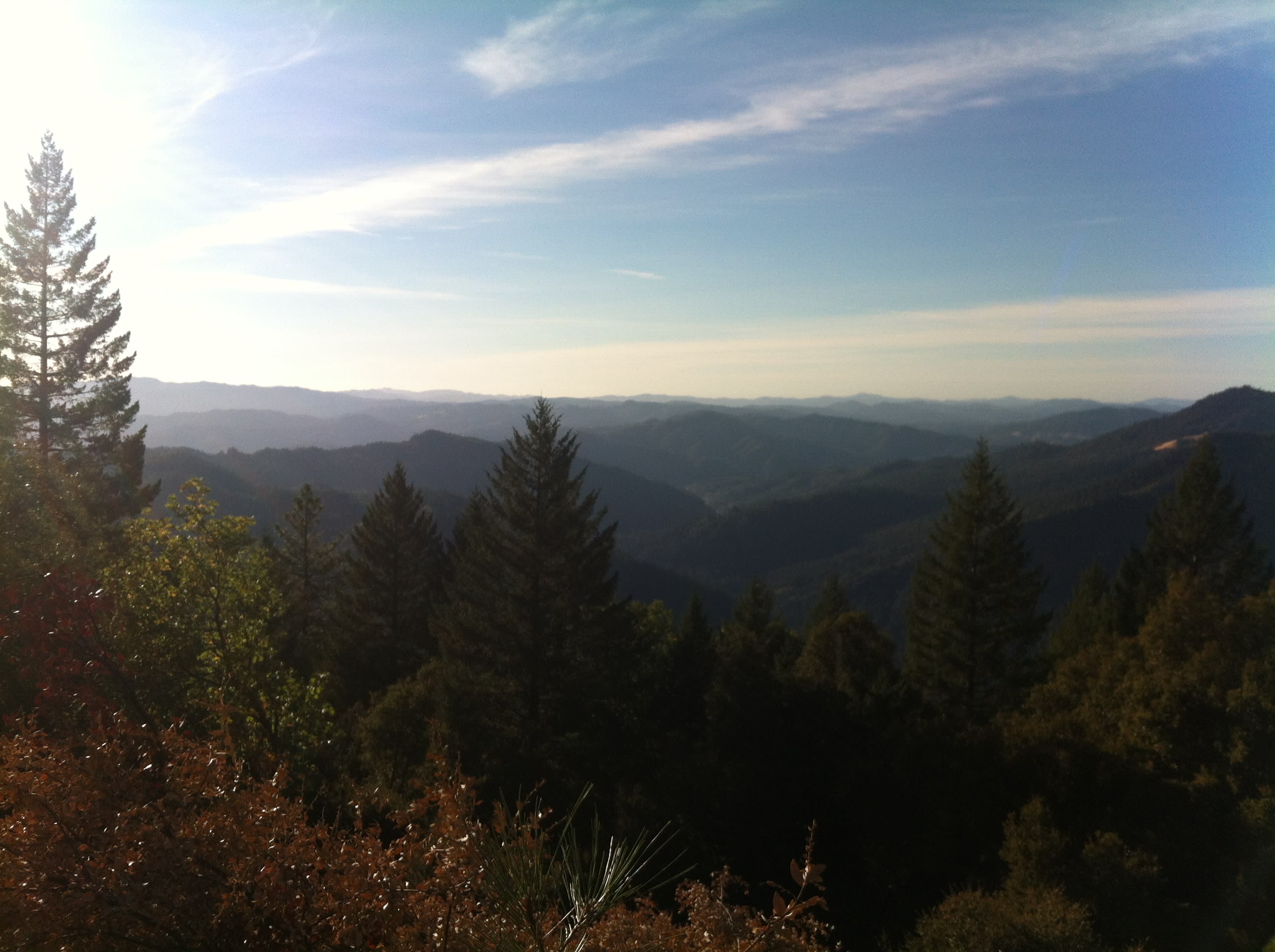Mendocino National Forest