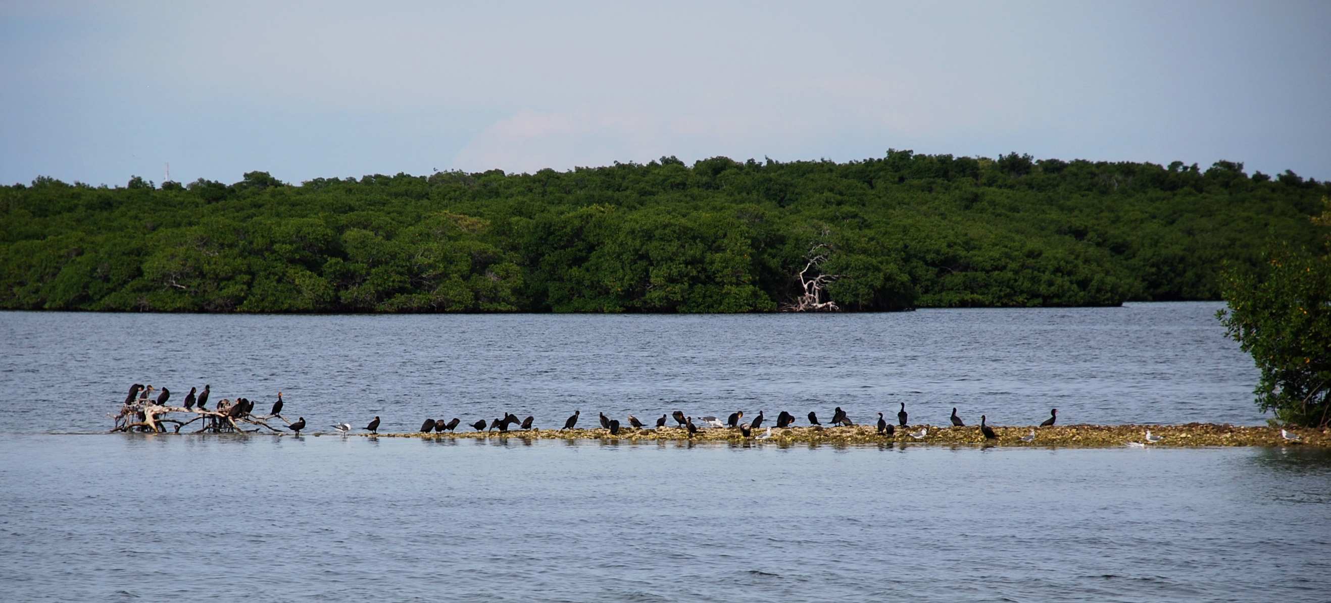 John Pennekamp Coral Reef State Park