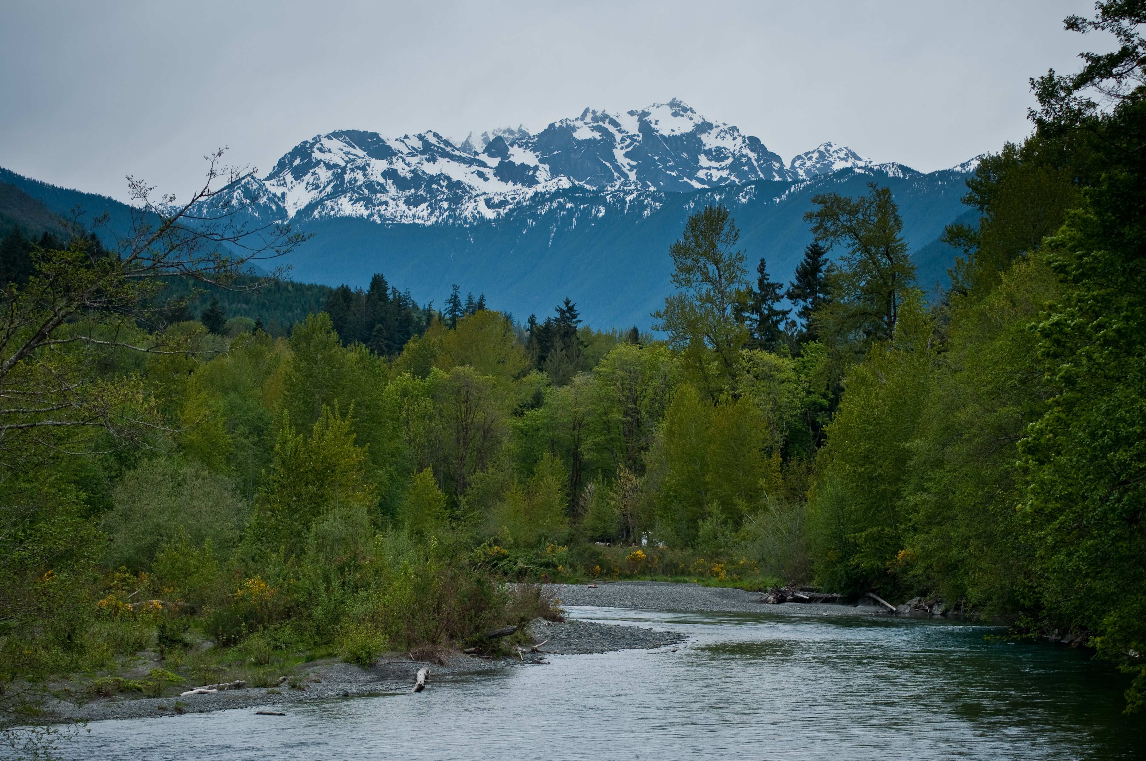 Dosewallips State Park