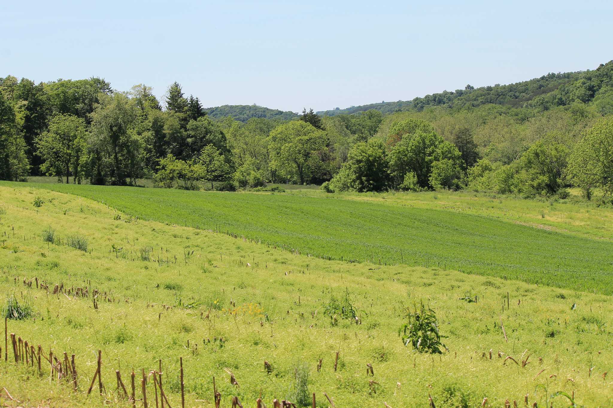 Little Buffalo State Park