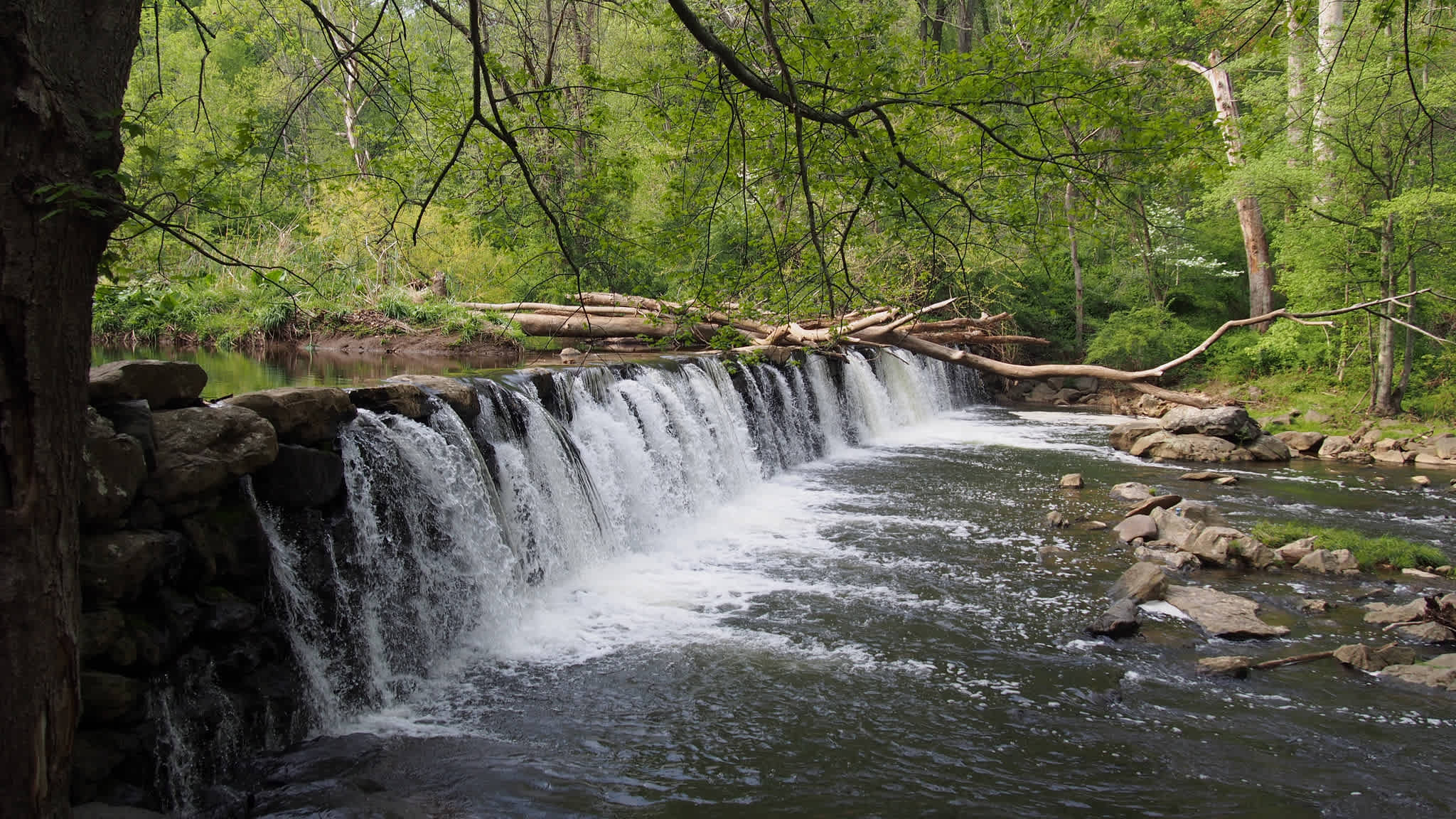 Ridley Creek State Park