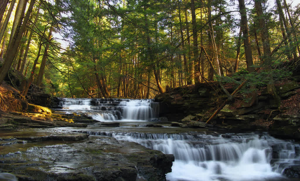 Salt Springs State Park