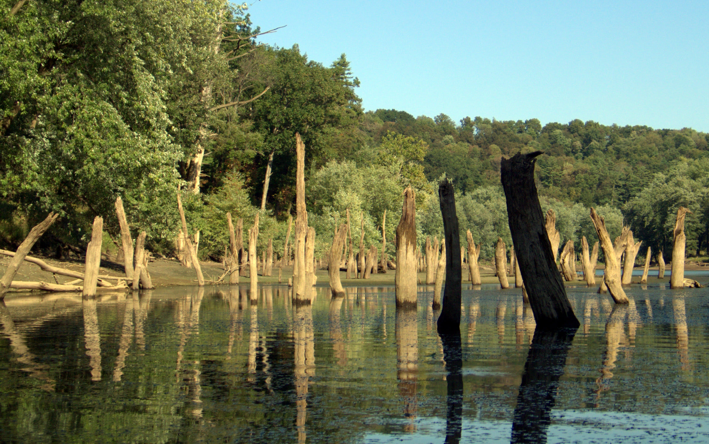 Mahoning Creek Lake