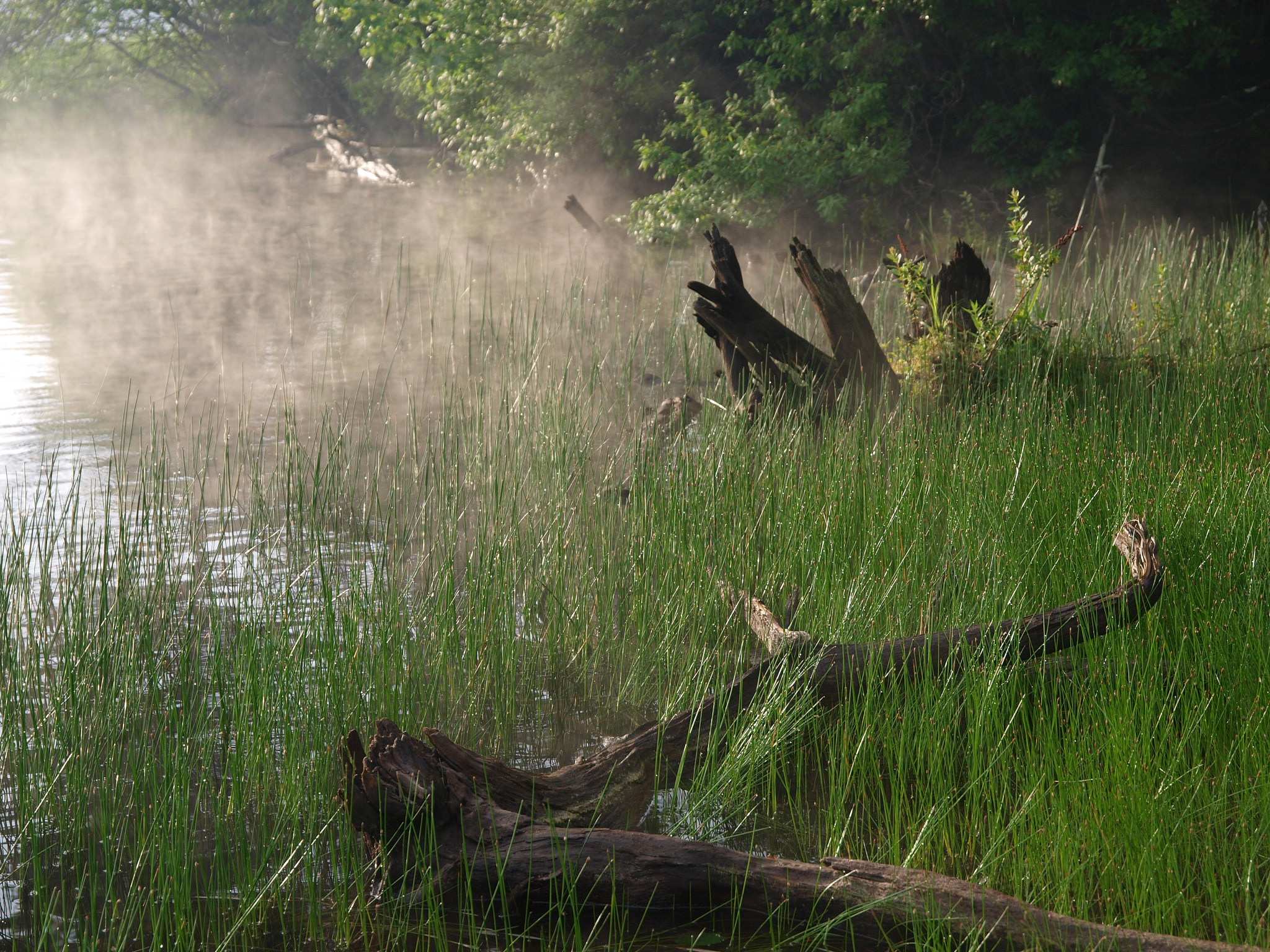 Woodford State Park