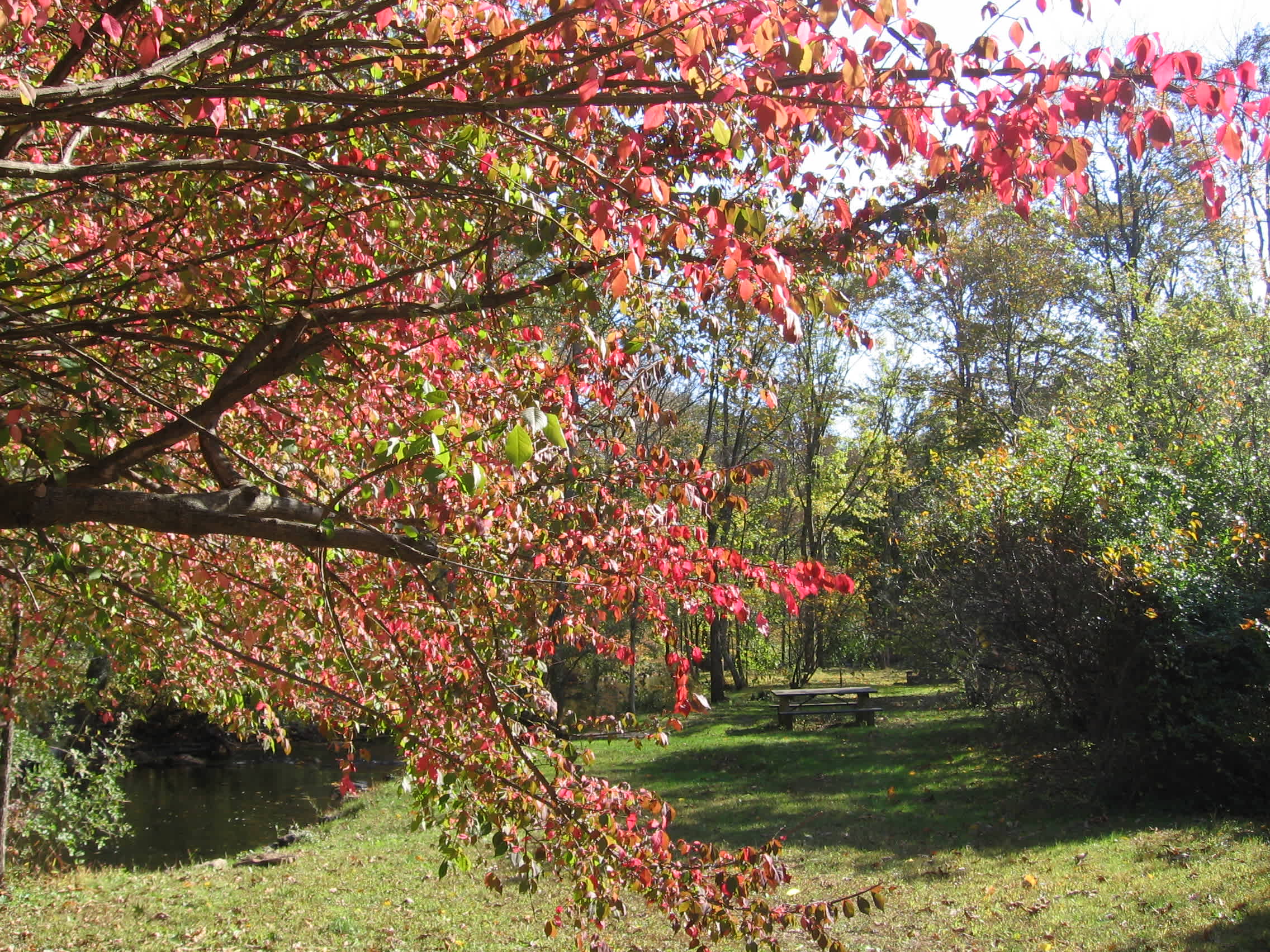 Stephens State Park