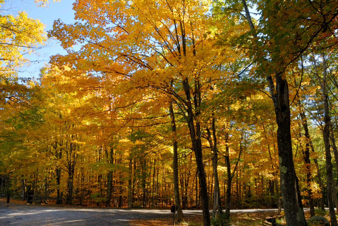 Bradbury Mountain State Park