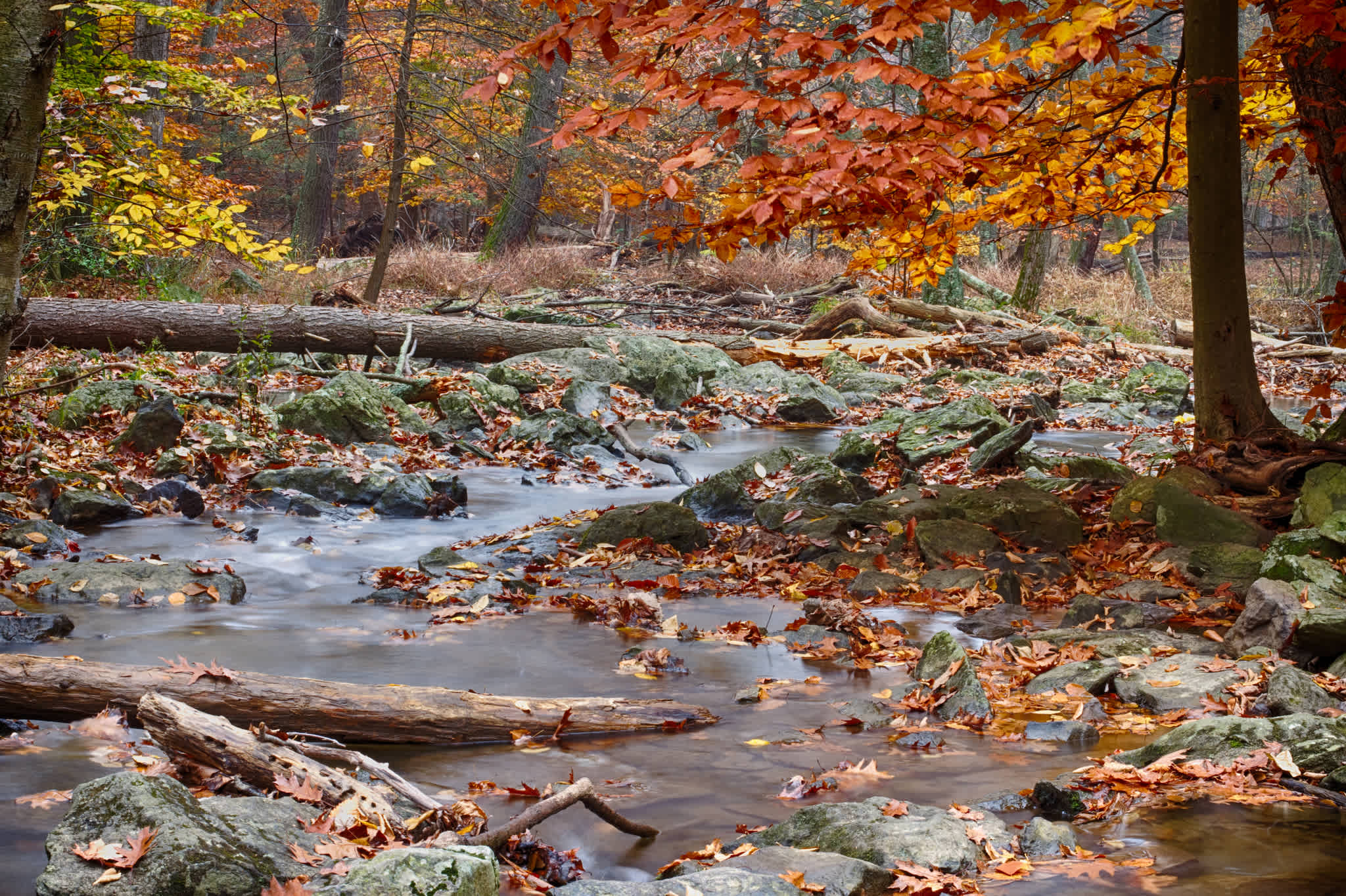 Cunningham Falls State Park