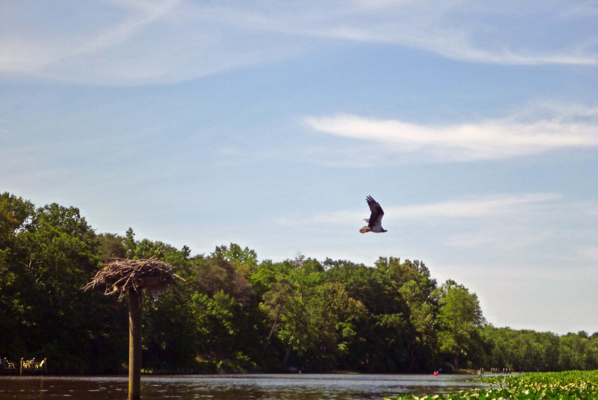 Martinak State Park