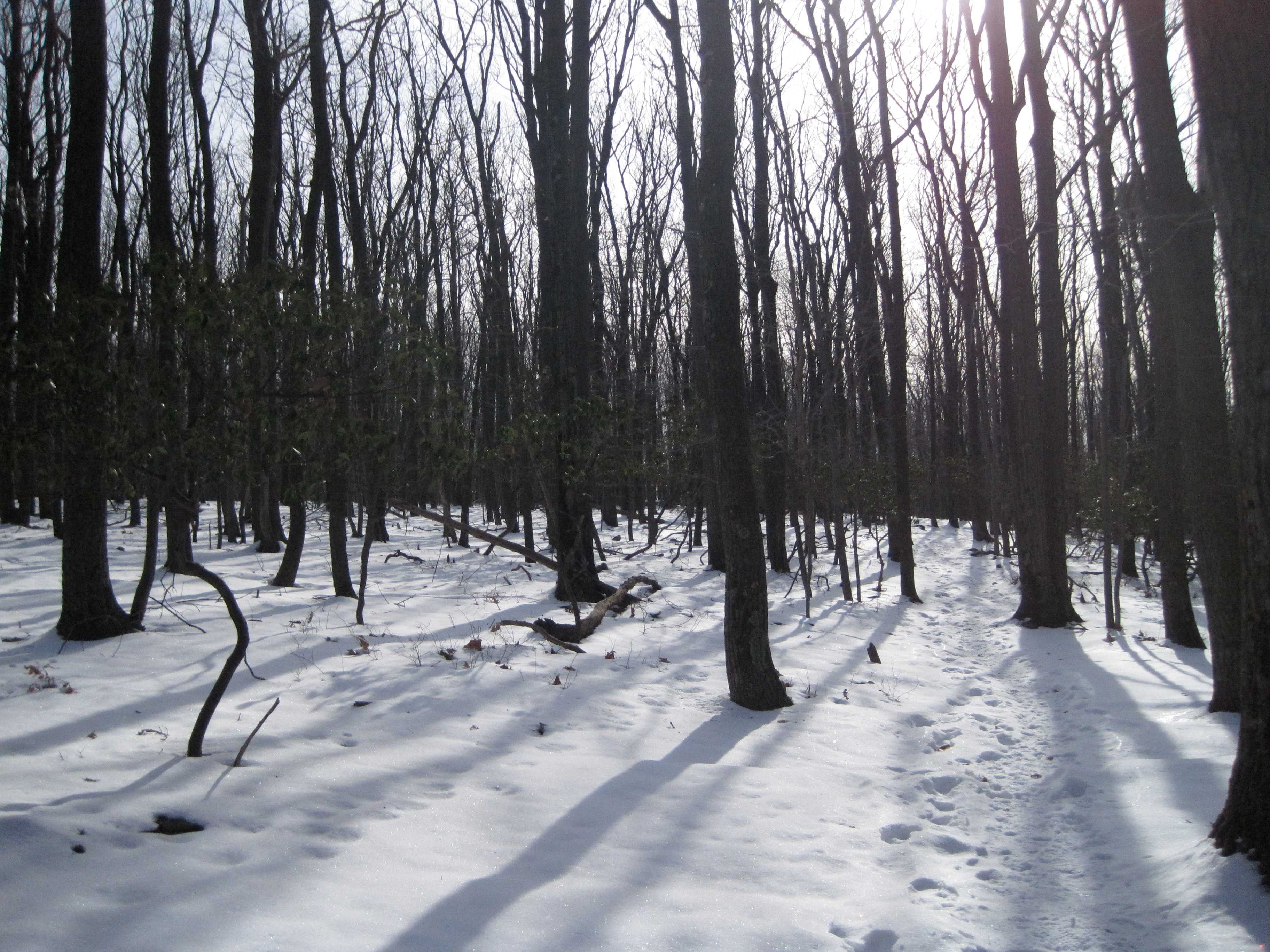 Catoctin Mountain Park
