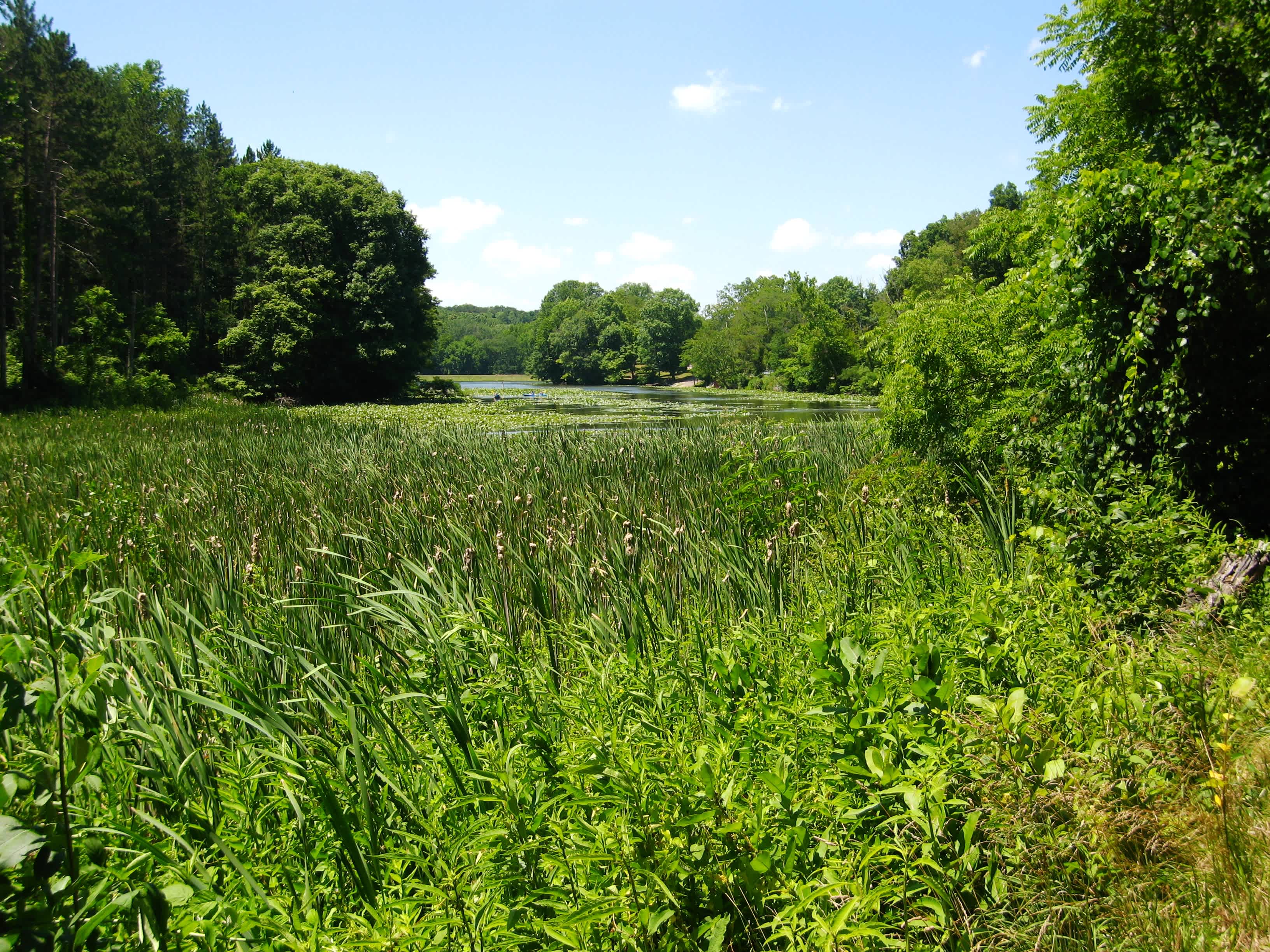 Blue Rock State Park