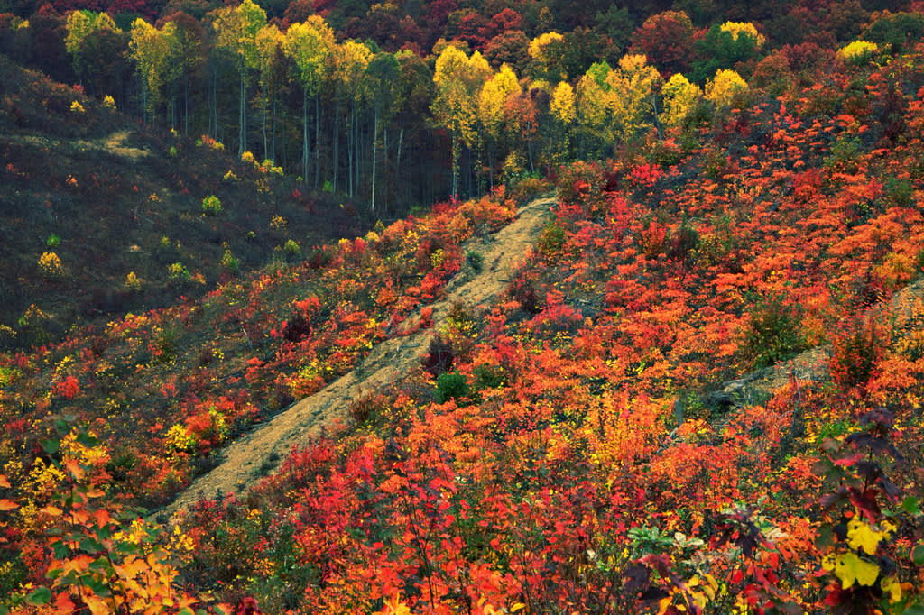 Shawnee State Park OH