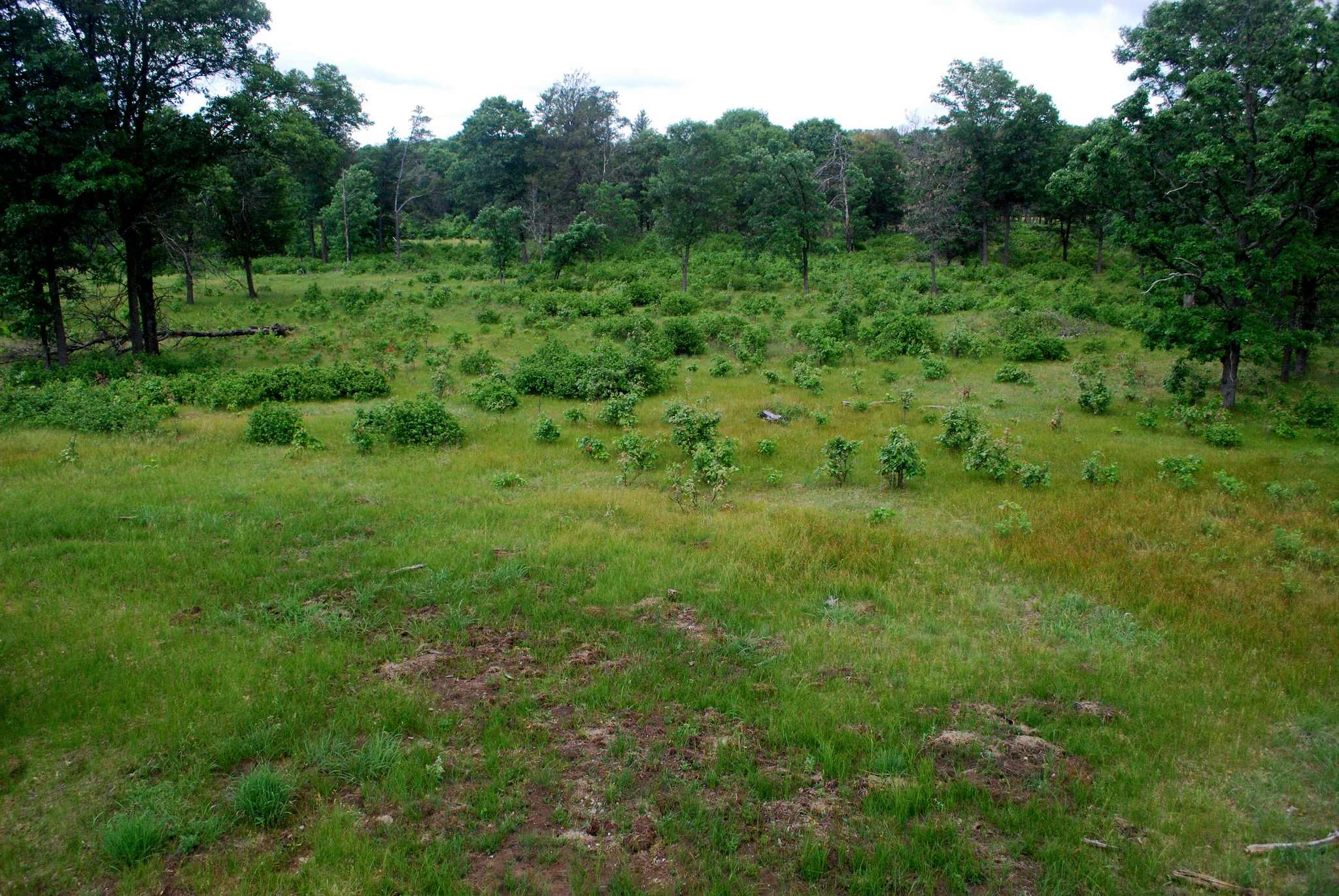 Buckhorn State Park
