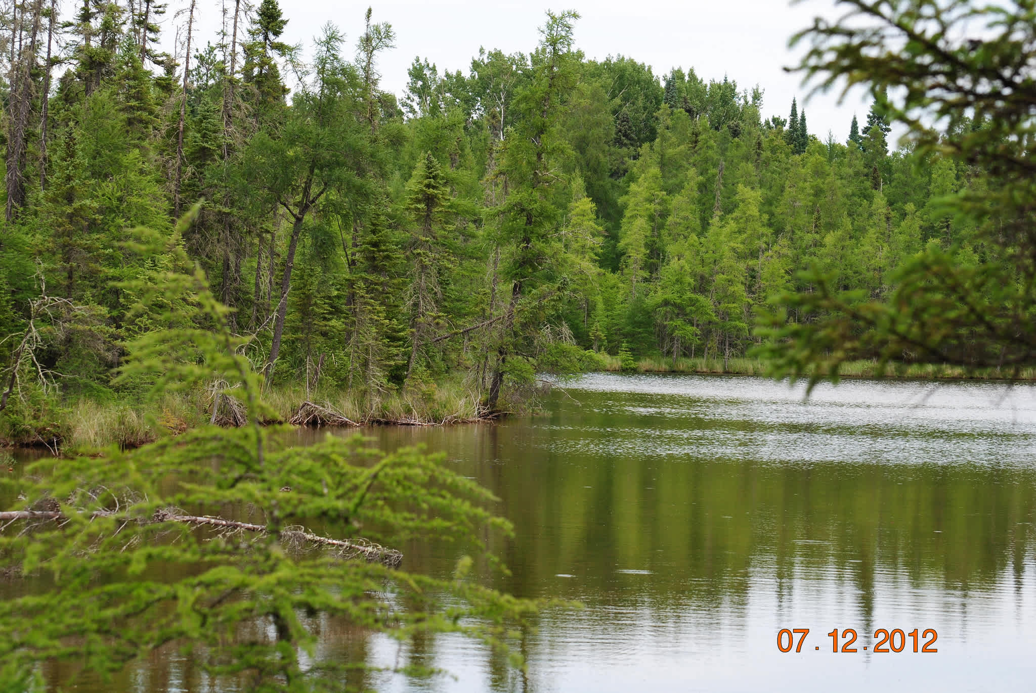 Lake Bemidji State Park