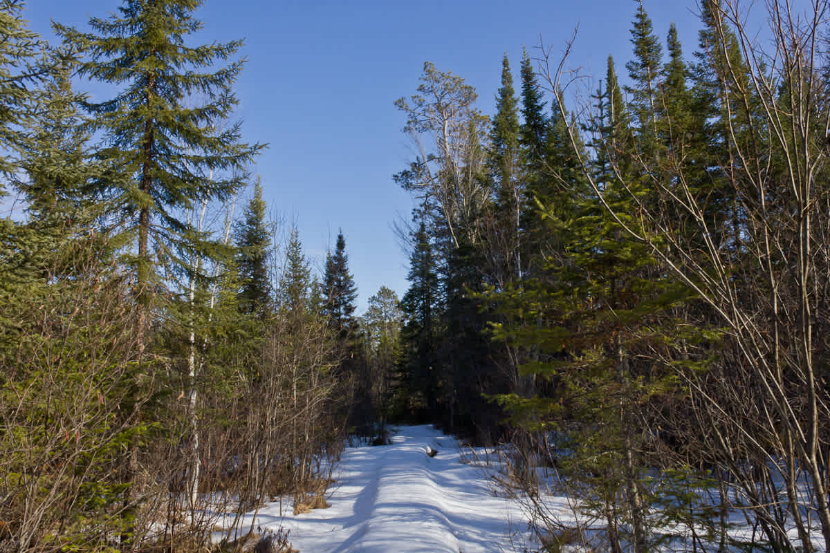 Scenic State Park