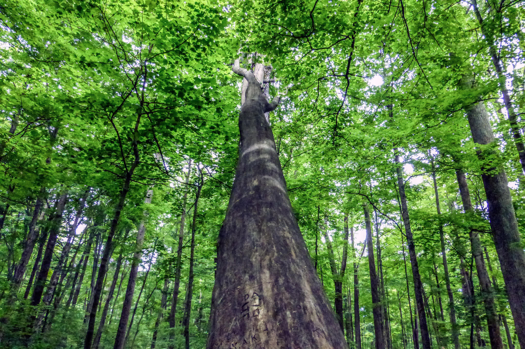 McCormicks Creek State Park