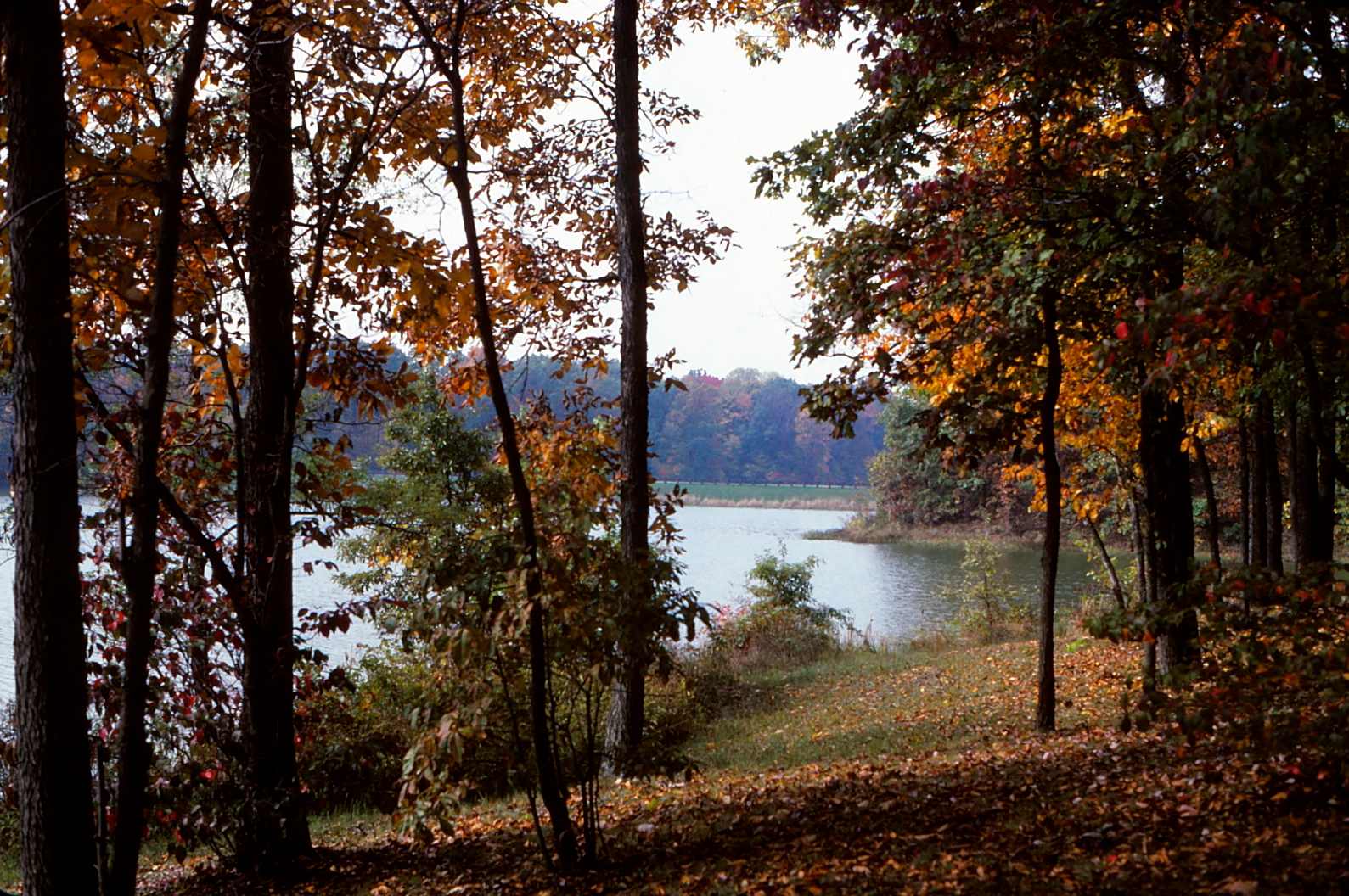 Shakamak State Park