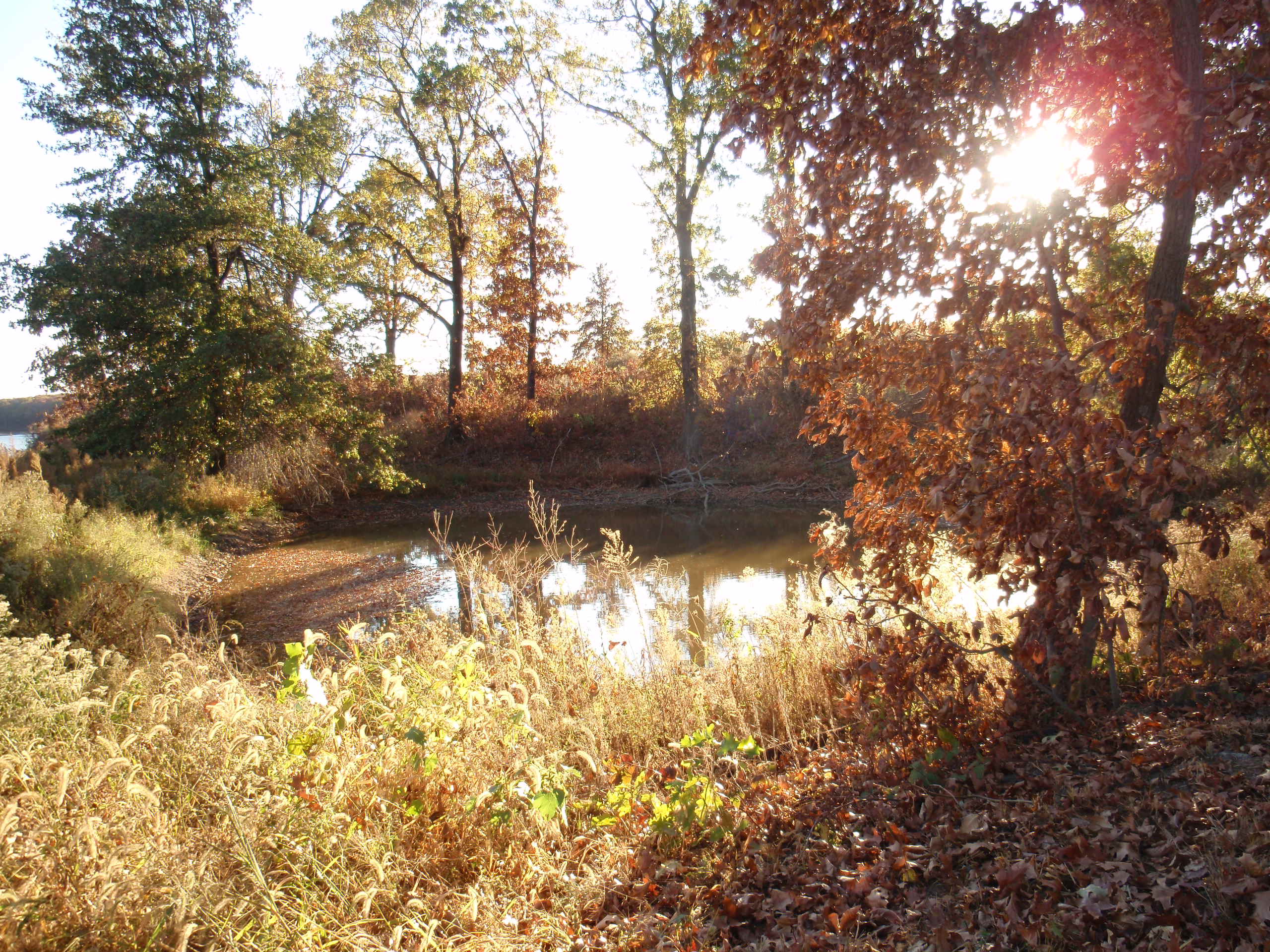 Honey Creek Resort