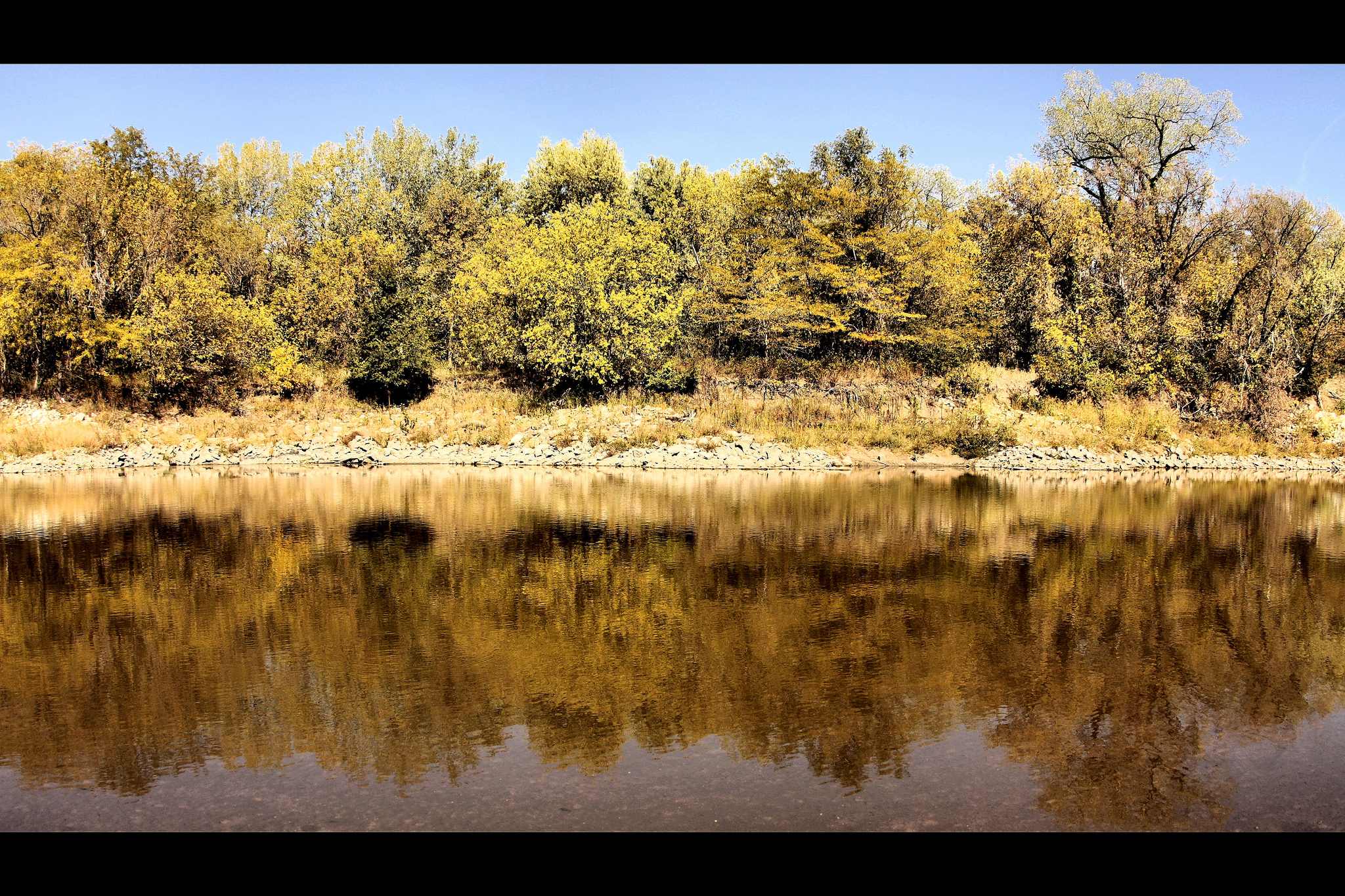 Walnut Woods State Park
