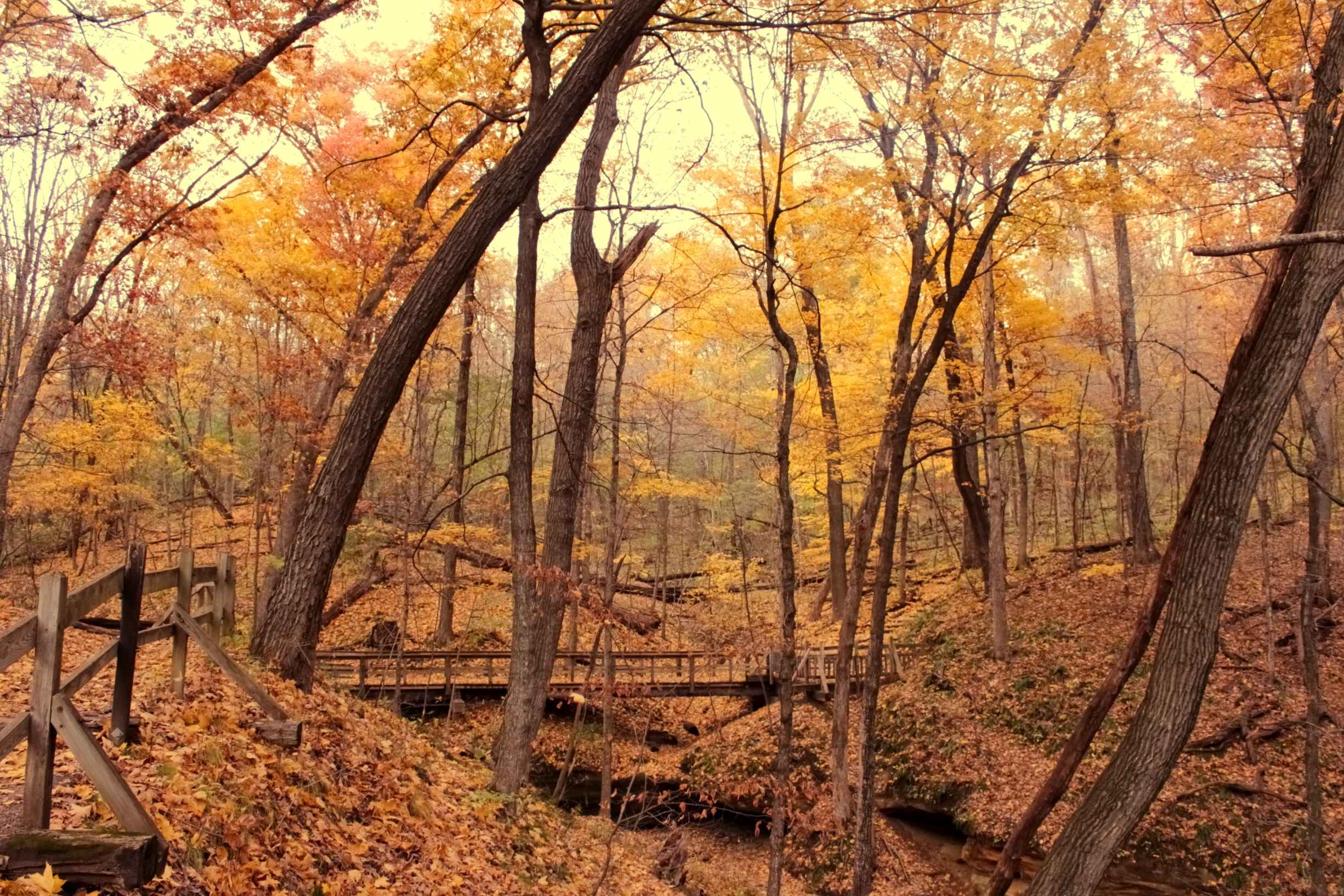 Wildcat Den State Park