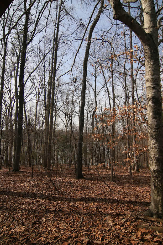 Croft State Park