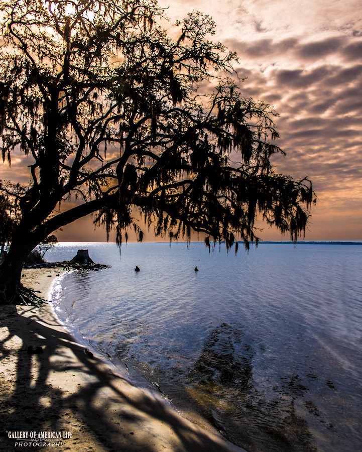 Goose Creek State Park
