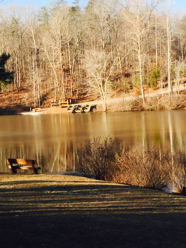 Twin Lakes State Park Virginia