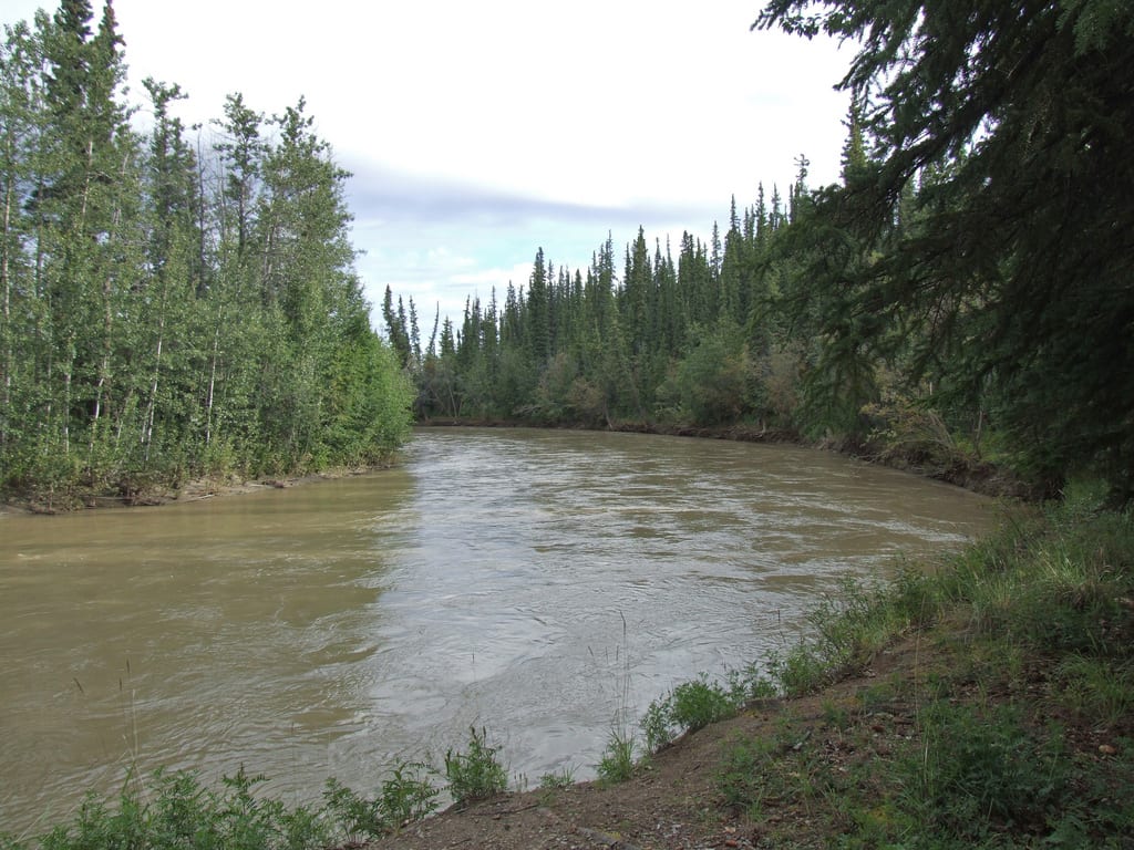 Tok River State Recreation Site