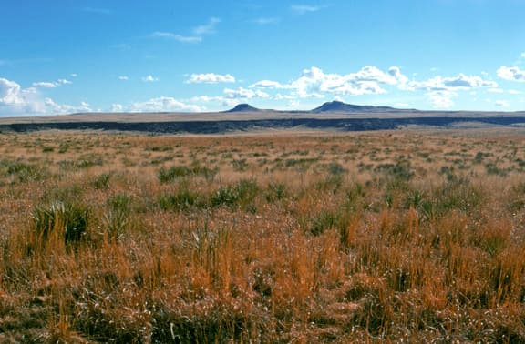 Kiowa National Grassland