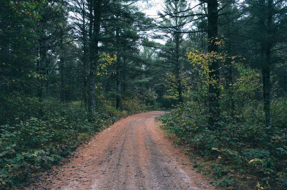 The best plan of action here is to just get lost on the miles of dirt roads that run through the sandy pine forests.