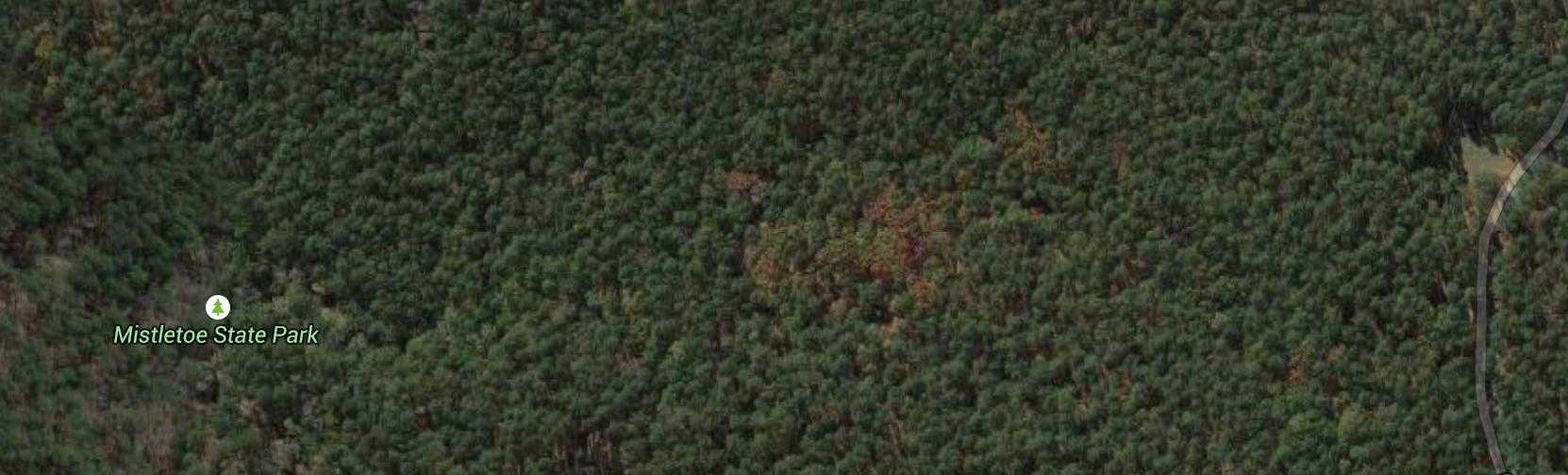 Mistletoe State Park