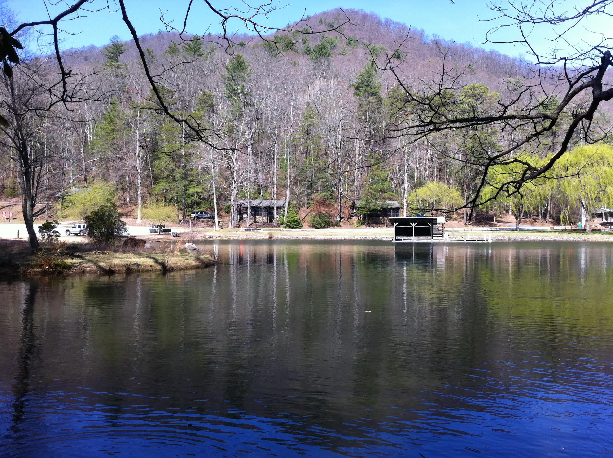 Vogel State Park