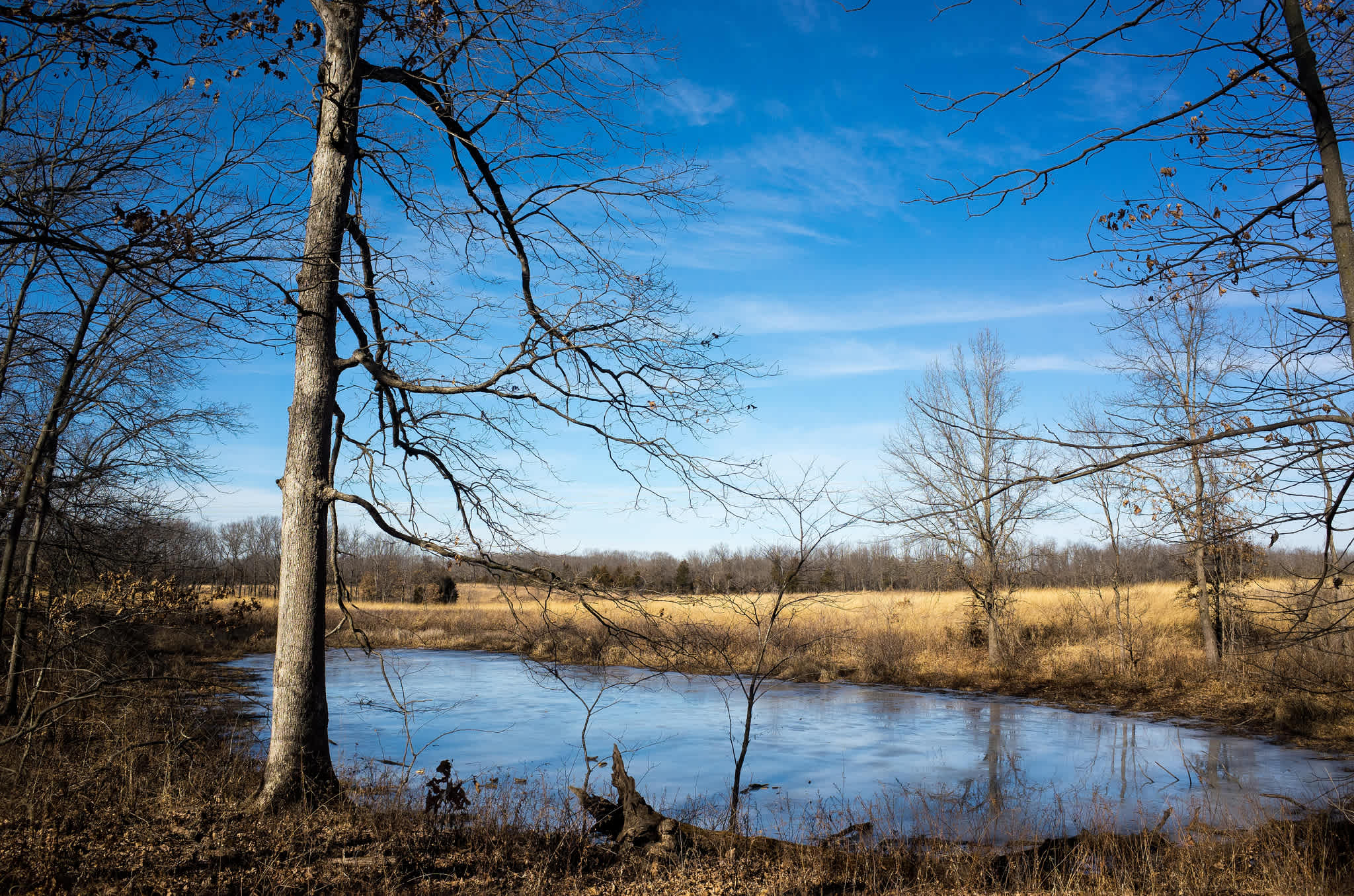 Prairie State Park