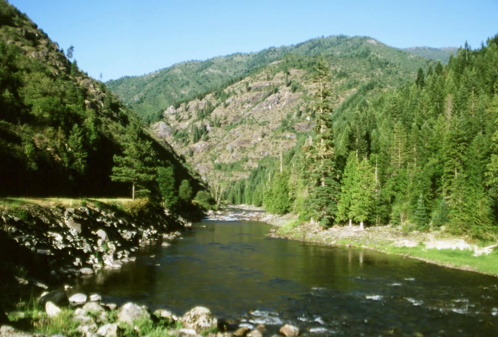 Nez Perce-Clearwater National Forests