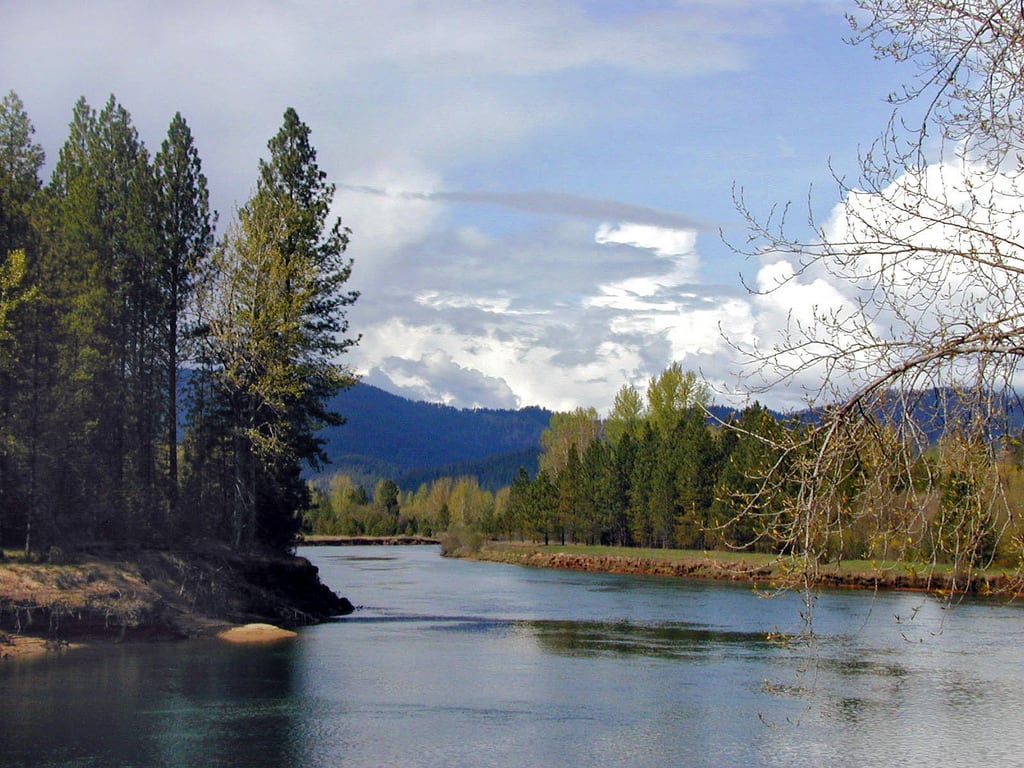 Coeur d'Alene River Campground and Picnic Areas