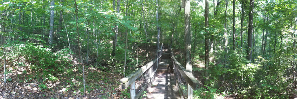 Tygart Lake State Park