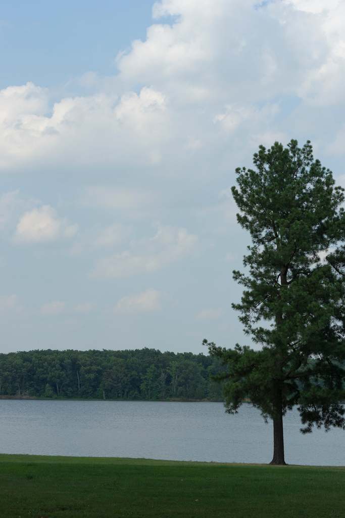 Lake Charles State Park