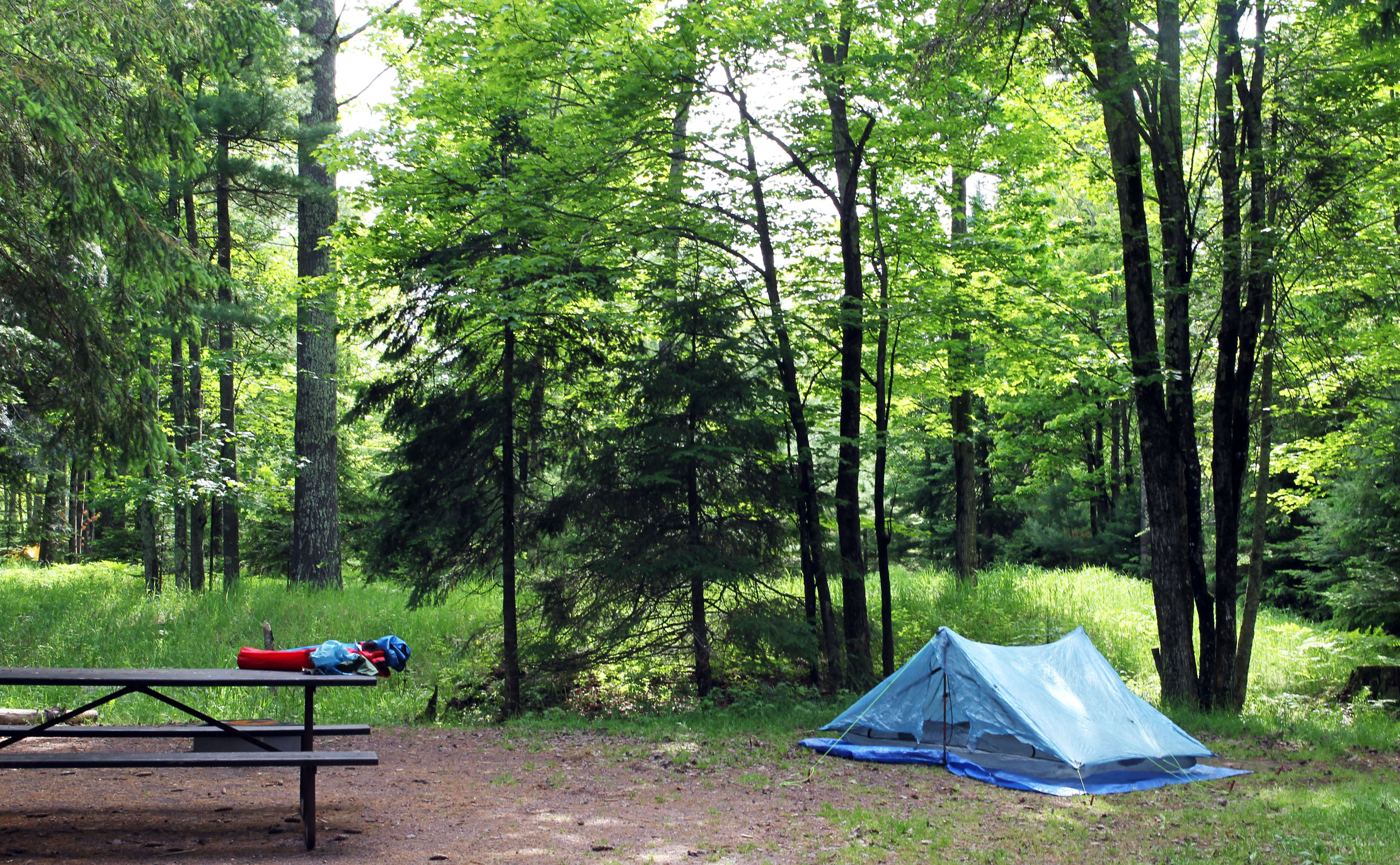 Campsite 047, in the West Loop.  The best sites here are located in the outside loop.  The ground is nice and soft, with hemlocks and pine surrounding the campground.