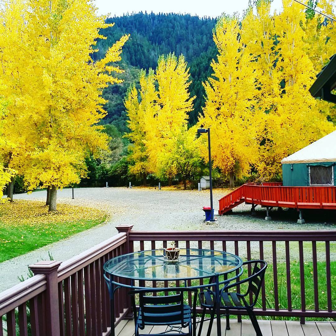 View of the Yurt from one of our cottages.