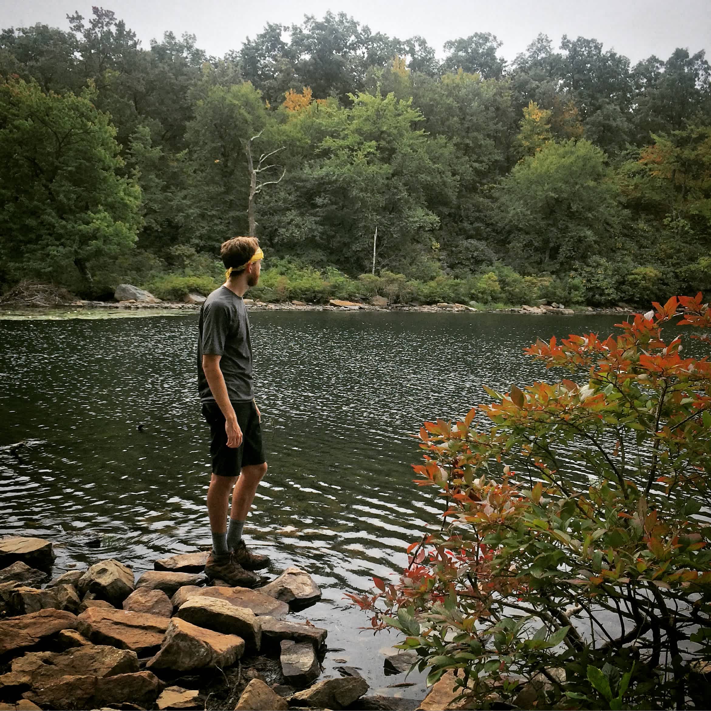 Worthington State Forest